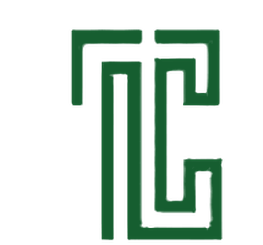 Teecanva logo preview
